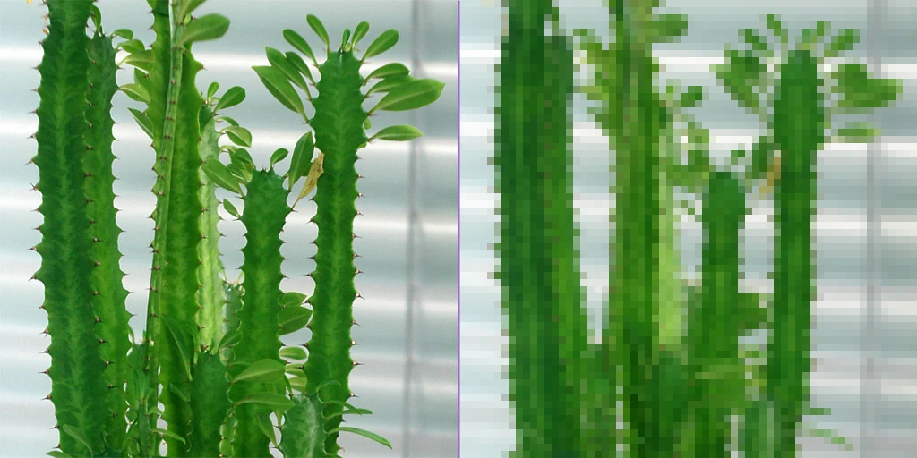 The same photograph of cacti in two versions: smooth on the left, broken into visible square blocks on the right