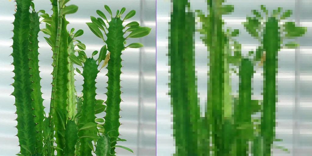 The same cactus photo twice side by side: smooth on the left, broken into square blocks on the right