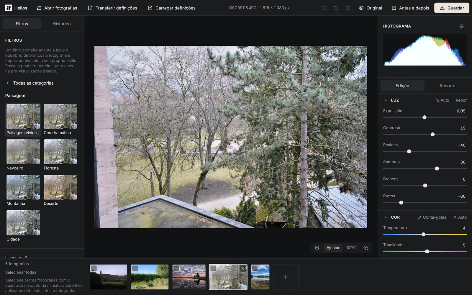 O painel Filtros do editor Helios com a categoria Paisagem aberta e os seus sete filtros, ao lado de uma fotografia de árvores