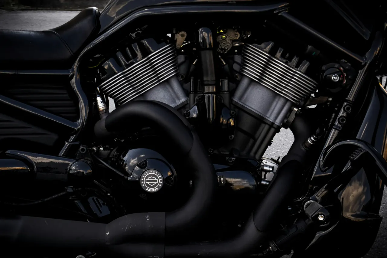 Czarny silnik motocykla z dwoma cylindrami ustawionymi w literę V i okrągłym emblematem Harley-Davidson z liczbą 1250 na pokrywie